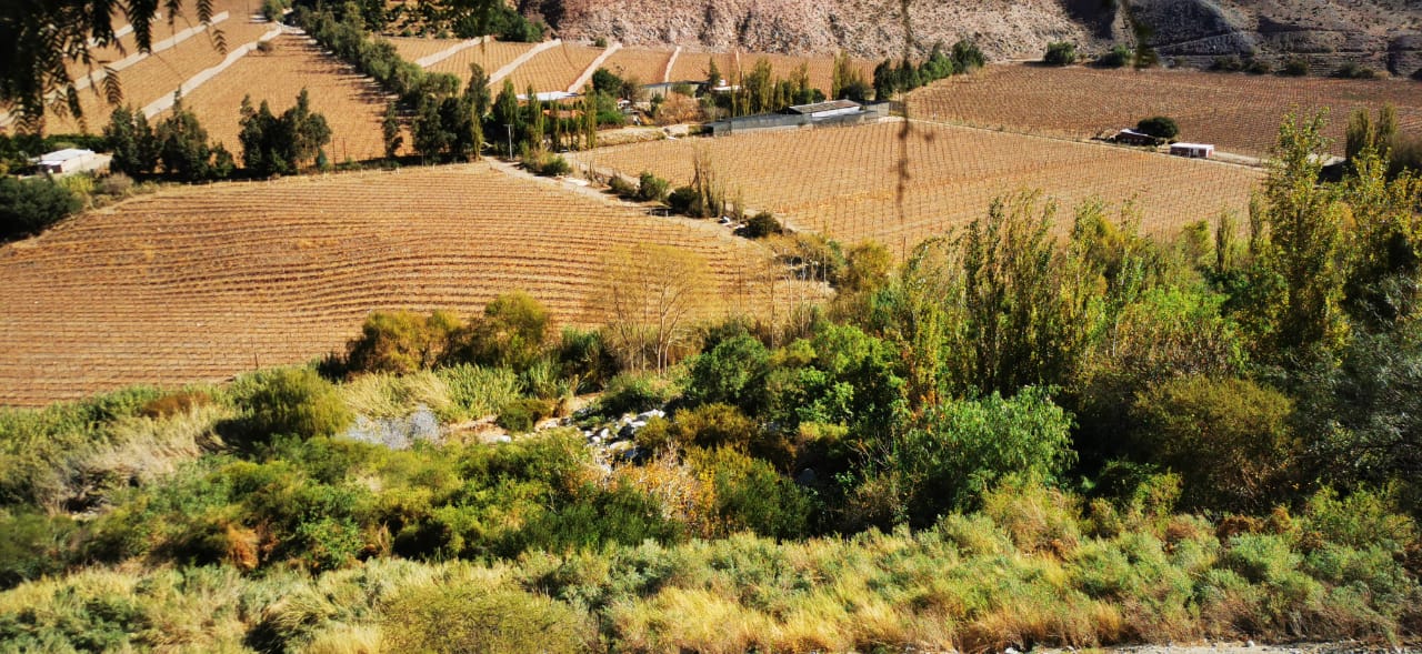 IMG-20230727-WA0015