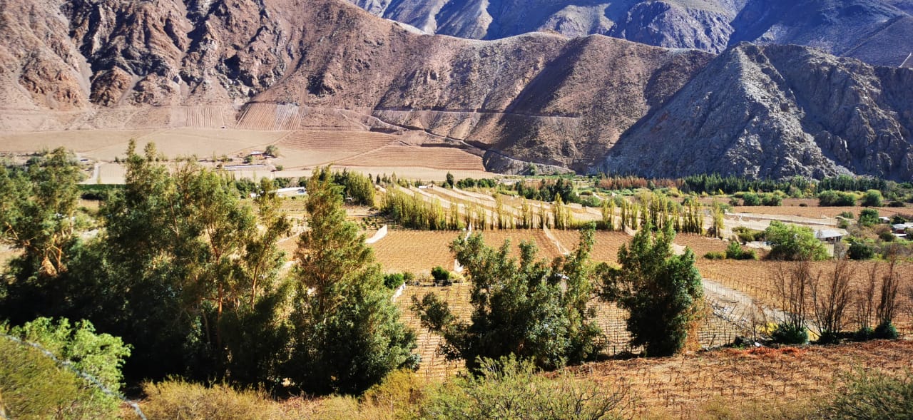 IMG-20230727-WA0017